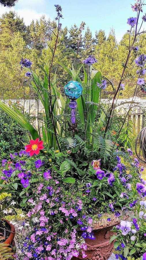 Boreas Bed & Breakfast Inn Long Beach Bagian luar foto